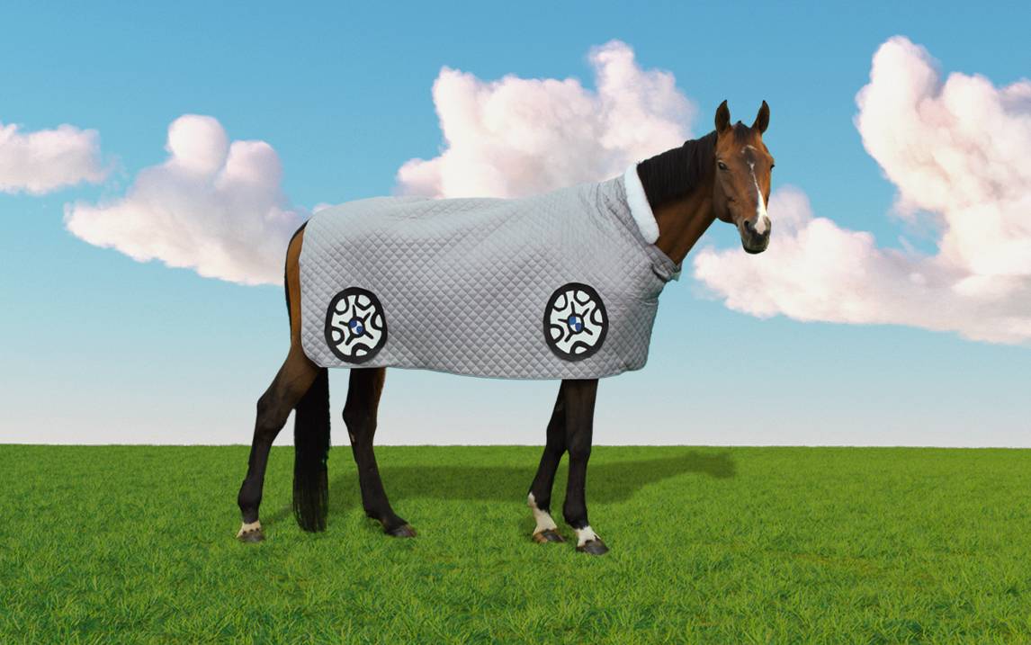 CNY image Image of a horse on grass