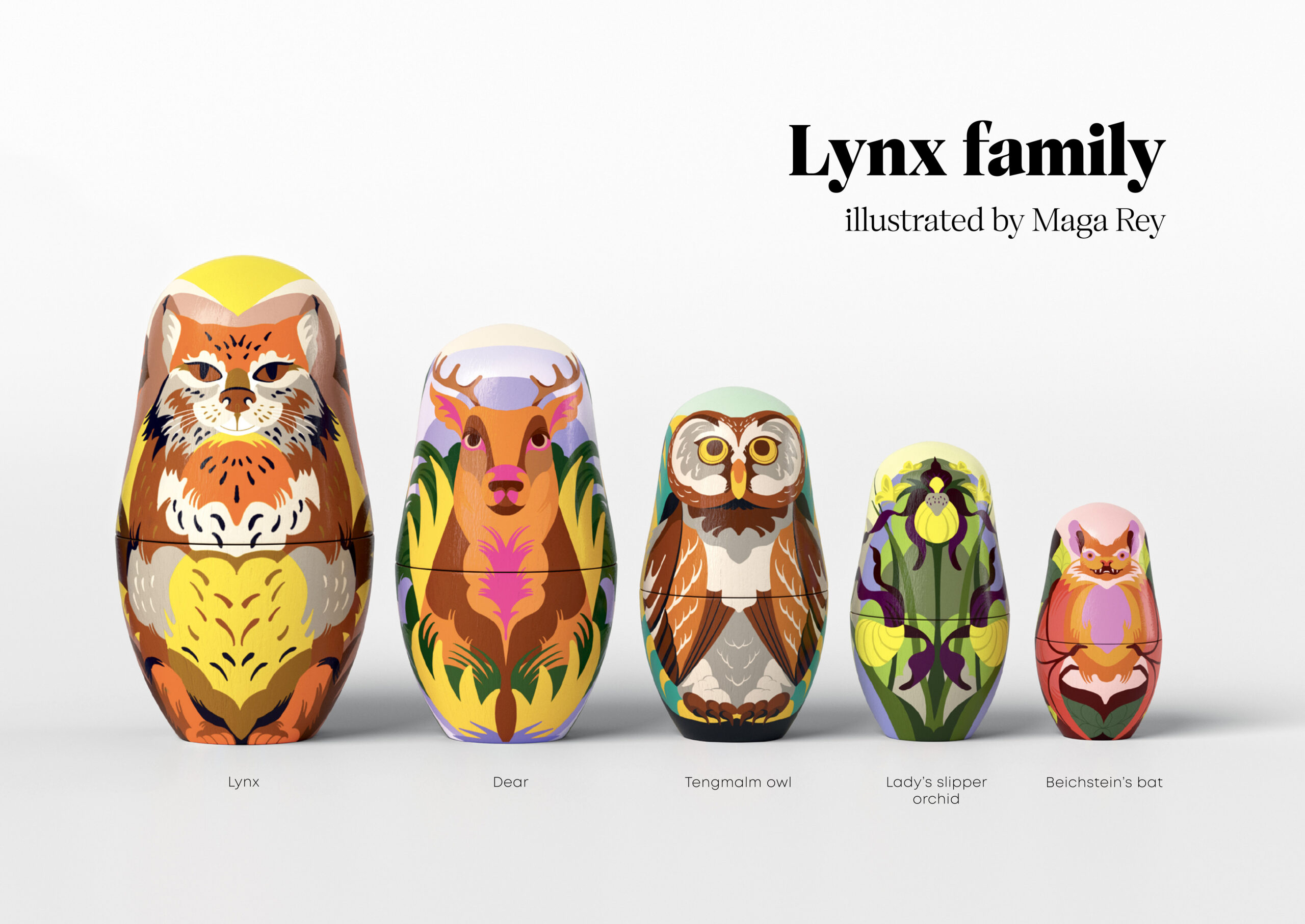 The Umbrella Species - Lynx Family