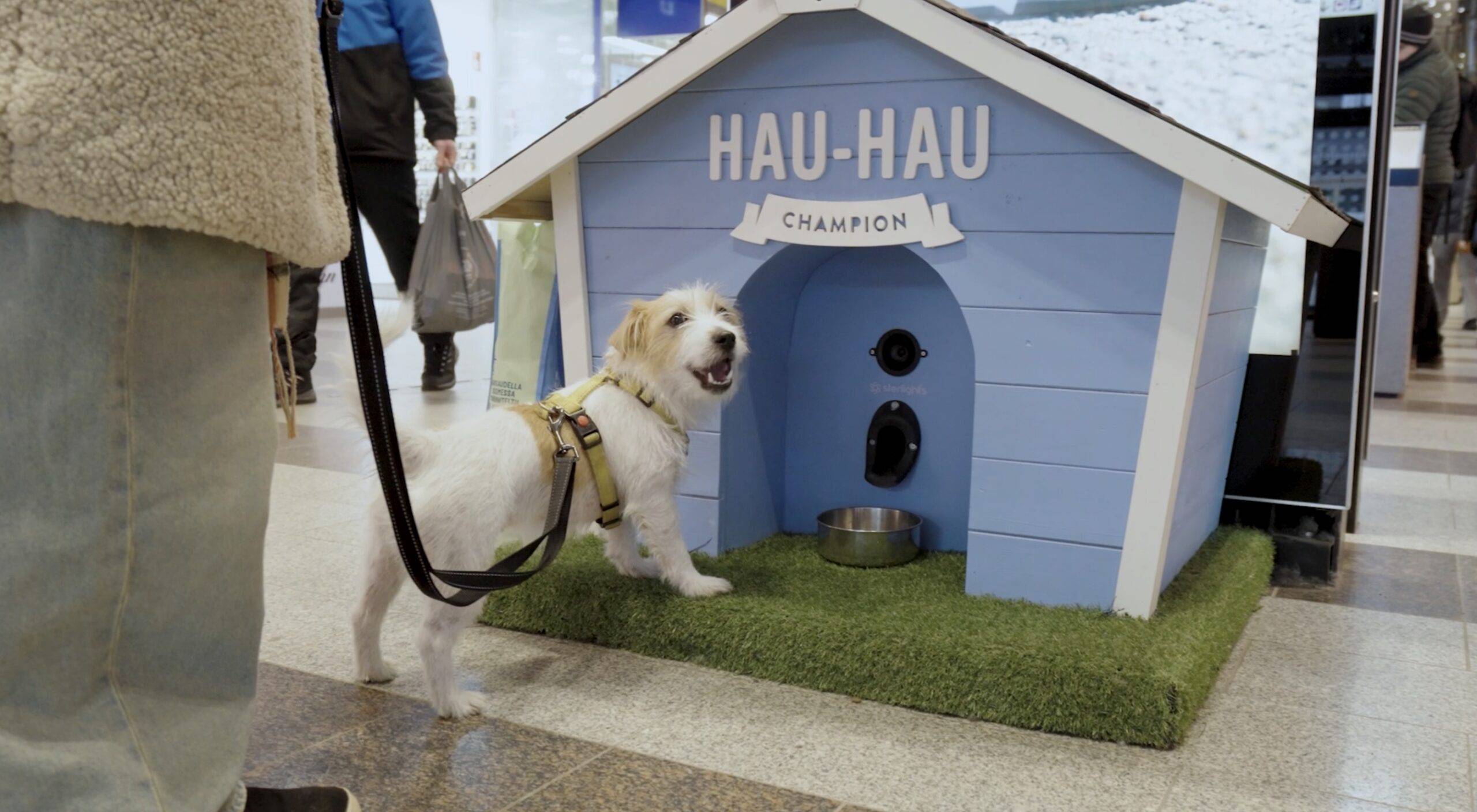 The Dog Food Vending Machine