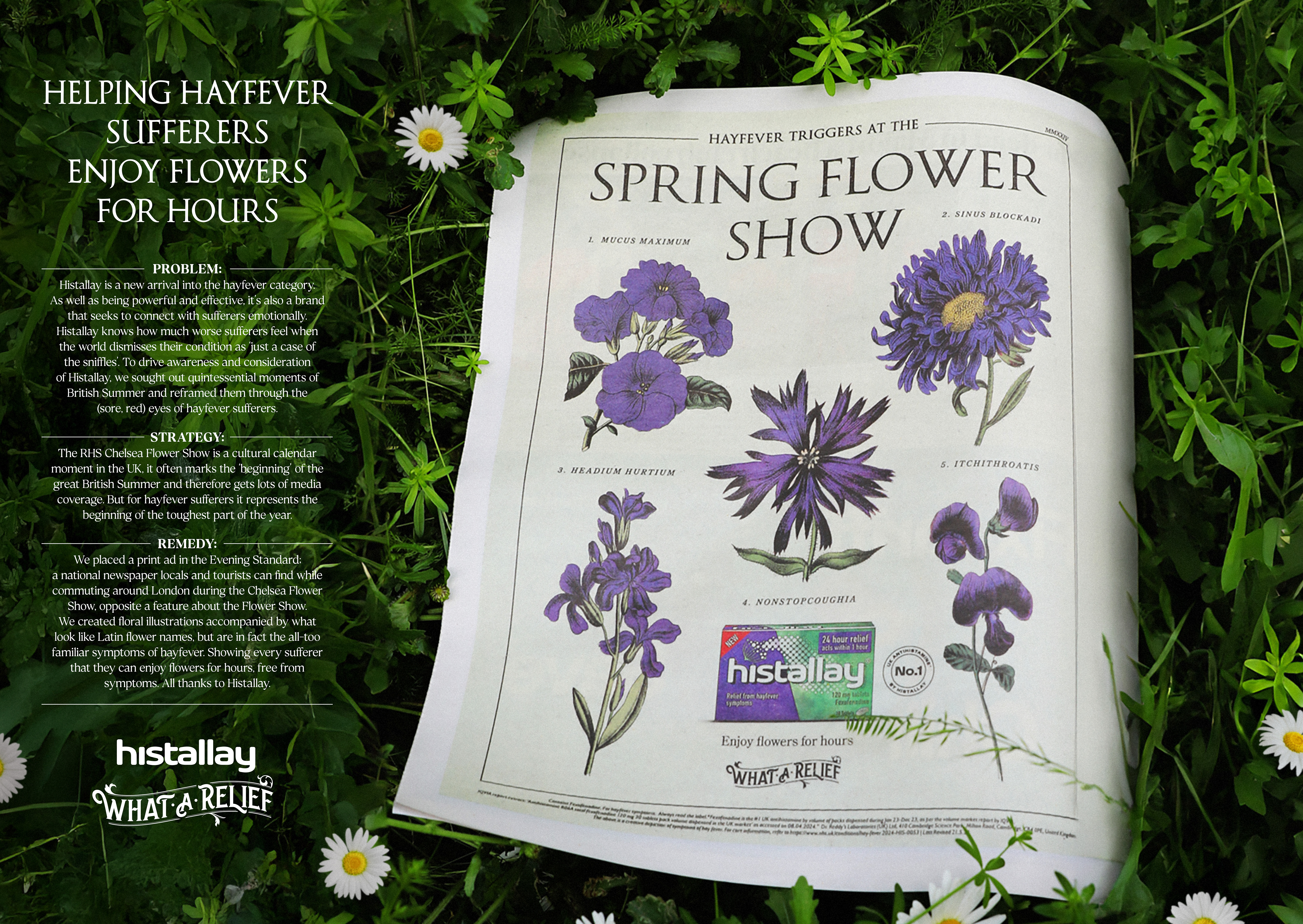 Histallay_Flower_Show Cannes_Board_01