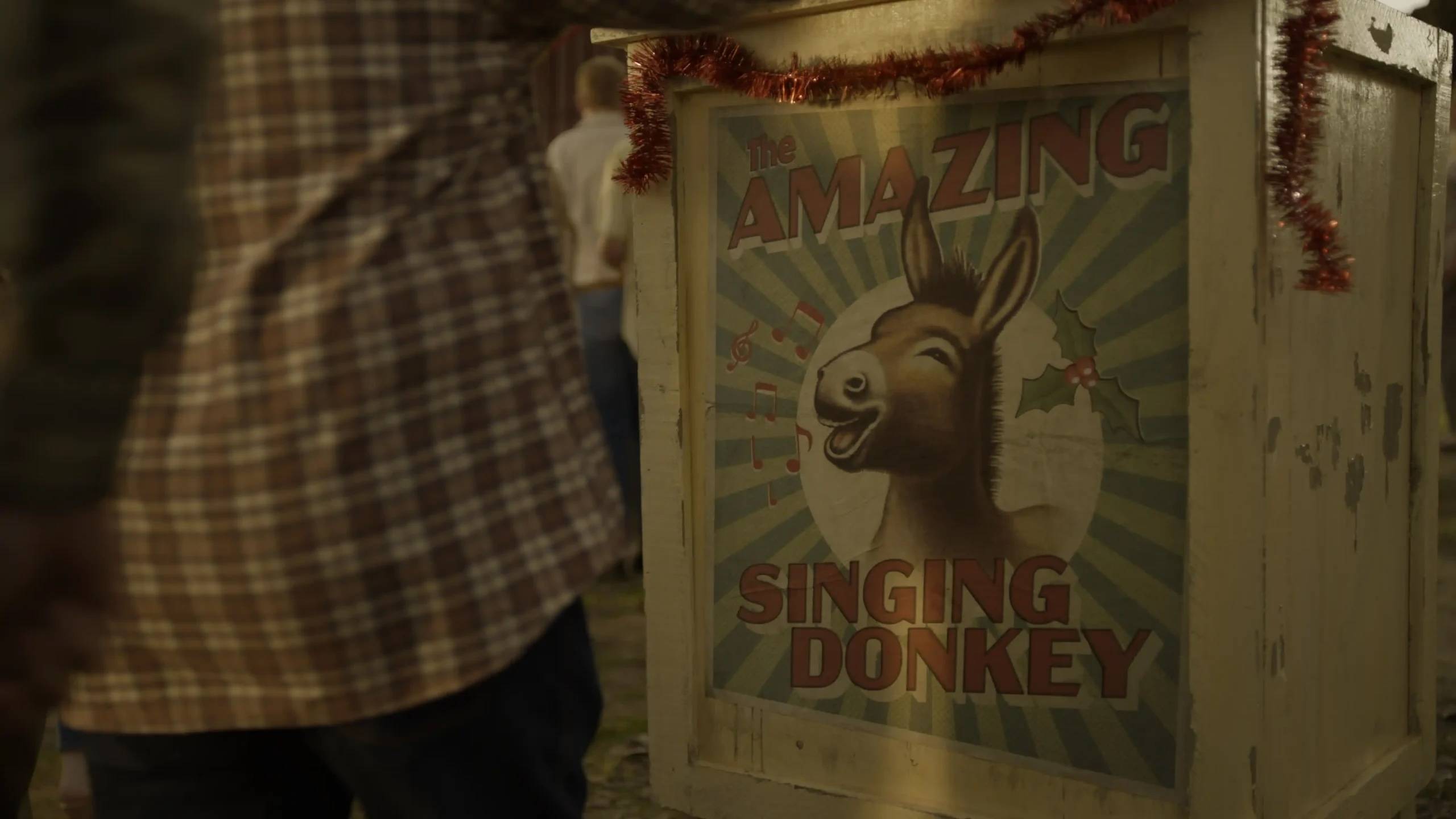 A poster that says 'the amazing singing donkey'